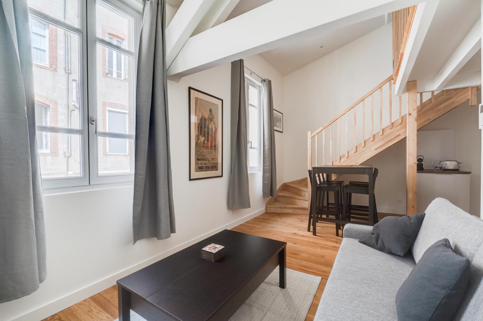 Style Et Caractere, Climatisation Apartment Toulouse Ngoại thất bức ảnh